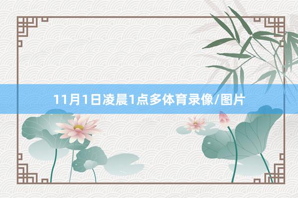11月1日凌晨1点多体育录像/图片