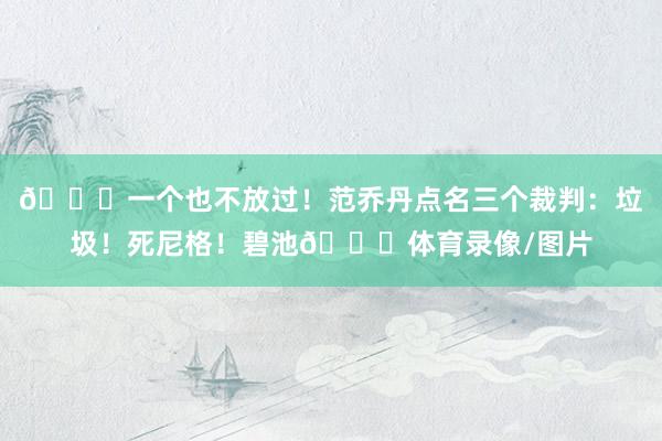 😂一个也不放过！范乔丹点名三个裁判：垃圾！死尼格！碧池💀体育录像/图片