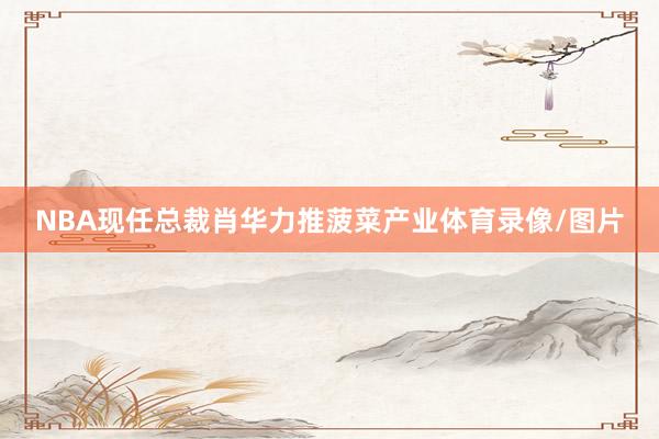 NBA现任总裁肖华力推菠菜产业体育录像/图片
