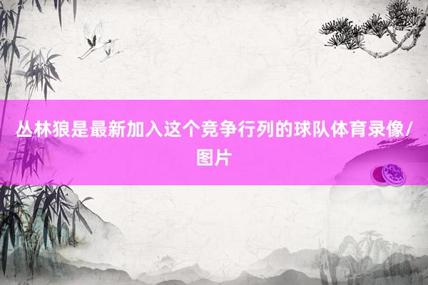 丛林狼是最新加入这个竞争行列的球队体育录像/图片