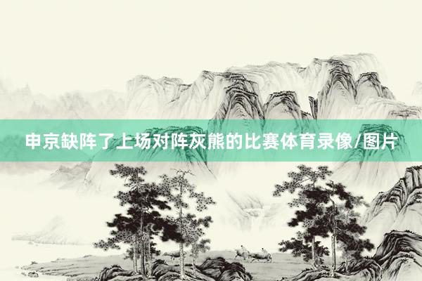 申京缺阵了上场对阵灰熊的比赛体育录像/图片