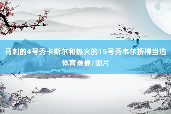 马刺的4号秀卡斯尔和热火的15号秀韦尔折柳当选体育录像/图片