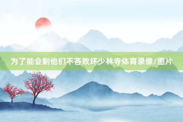 为了能会剿他们不吝败坏少林寺体育录像/图片