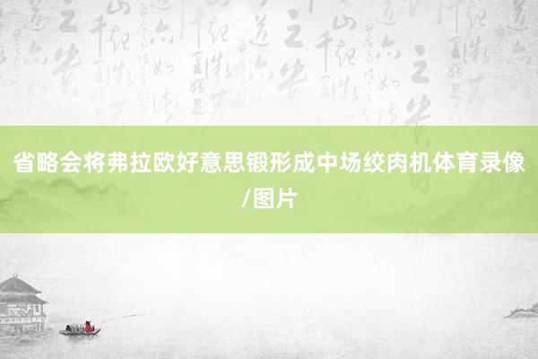 省略会将弗拉欧好意思锻形成中场绞肉机体育录像/图片