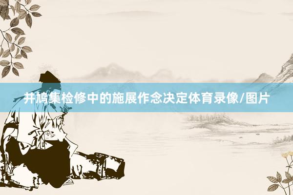 并鸠集检修中的施展作念决定体育录像/图片