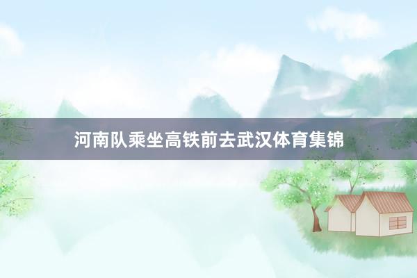 河南队乘坐高铁前去武汉体育集锦