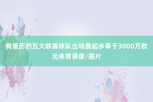 有履历的五大联赛球队出场费起步等于3000万欧元体育录像/图片