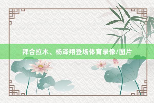 拜合拉木、杨泽翔登场体育录像/图片