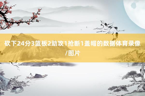 砍下24分3篮板2助攻1抢断1盖帽的数据体育录像/图片