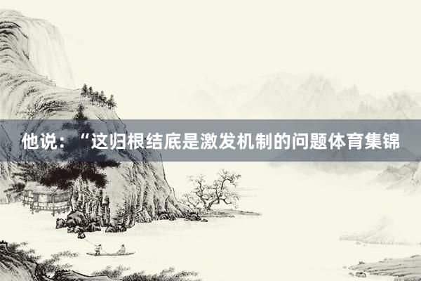 他说：“这归根结底是激发机制的问题体育集锦