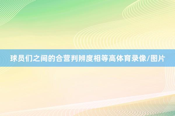 球员们之间的合营判辨度相等高体育录像/图片