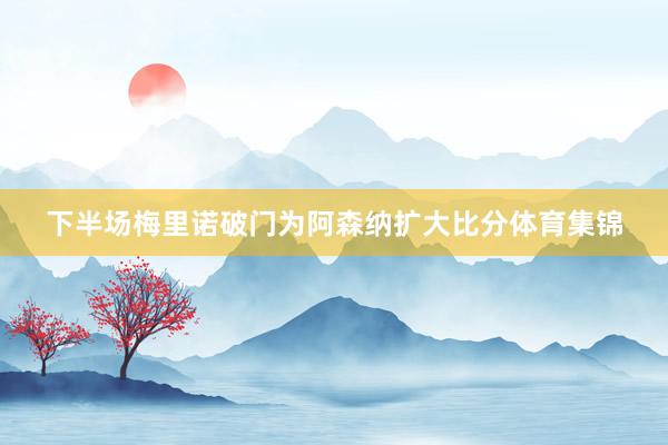 下半场梅里诺破门为阿森纳扩大比分体育集锦