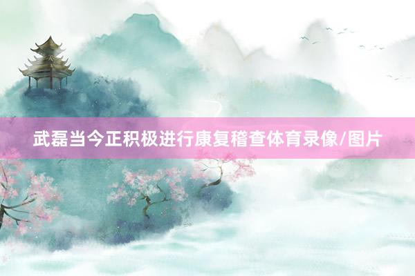 武磊当今正积极进行康复稽查体育录像/图片