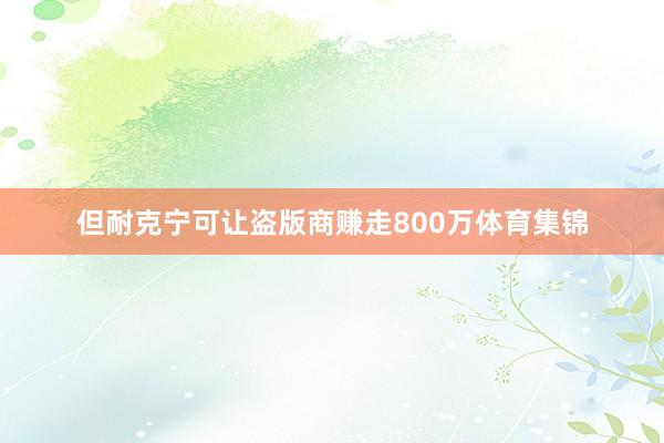 但耐克宁可让盗版商赚走800万体育集锦