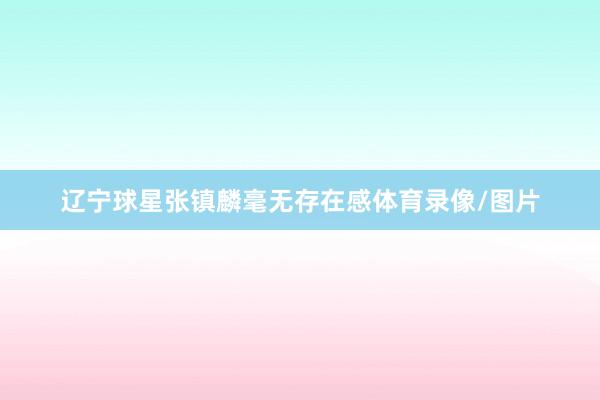 辽宁球星张镇麟毫无存在感体育录像/图片