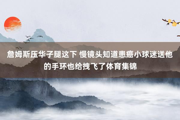 詹姆斯压华子腿这下 慢镜头知道患癌小球迷送他的手环也给拽飞了体育集锦