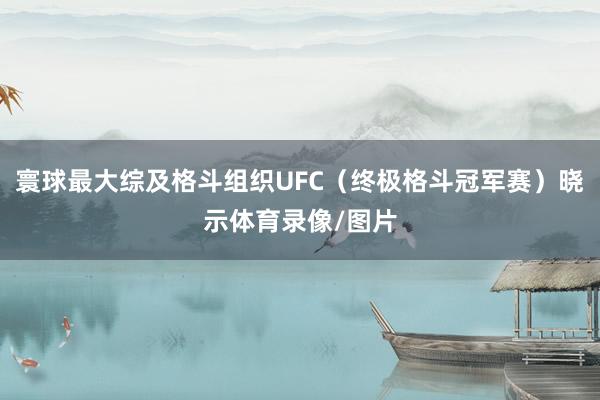 寰球最大综及格斗组织UFC(终极格斗冠军赛)晓示体育录像/图片
