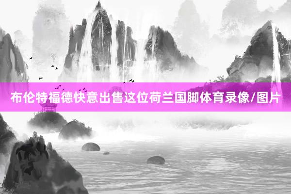 布伦特福德快意出售这位荷兰国脚体育录像/图片