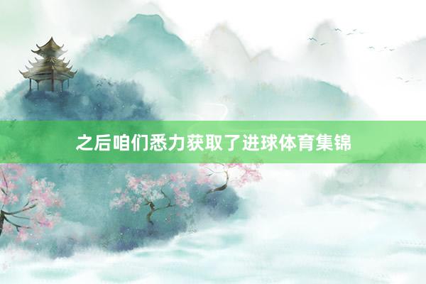 之后咱们悉力获取了进球体育集锦