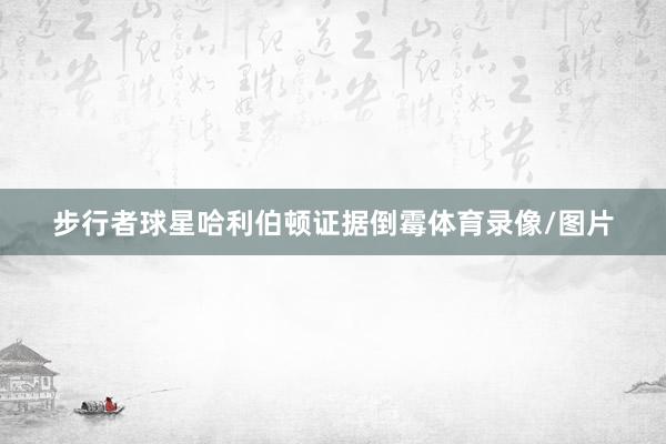 步行者球星哈利伯顿证据倒霉体育录像/图片