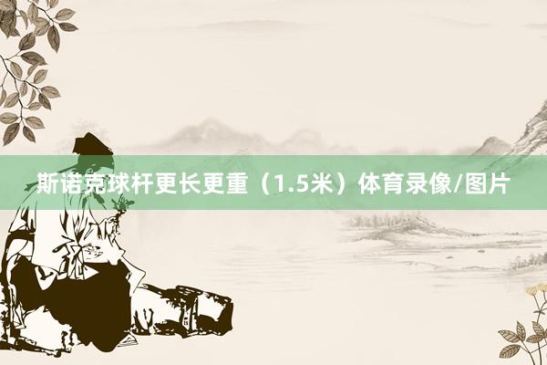 斯诺克球杆更长更重（1.5米）体育录像/图片