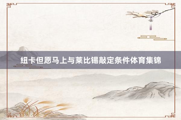 纽卡但愿马上与莱比锡敲定条件体育集锦