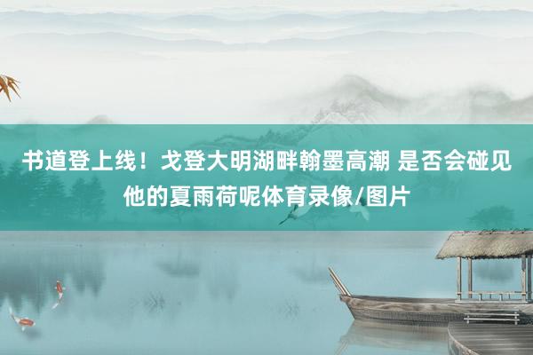 书道登上线！戈登大明湖畔翰墨高潮 是否会碰见他的夏雨荷呢体育录像/图片