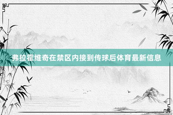 弗拉霍维奇在禁区内接到传球后体育最新信息