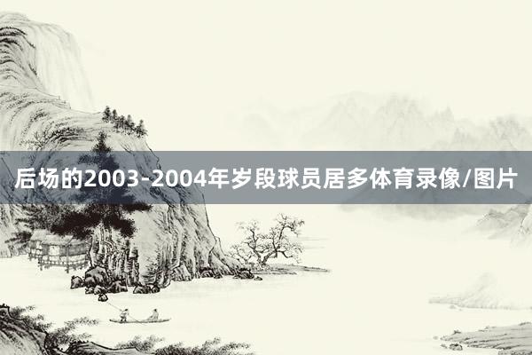 后场的2003-2004年岁段球员居多体育录像/图片