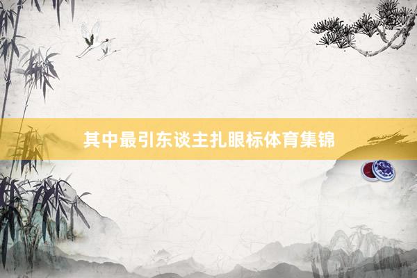 其中最引东谈主扎眼标体育集锦