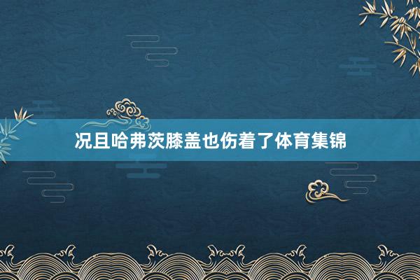 况且哈弗茨膝盖也伤着了体育集锦