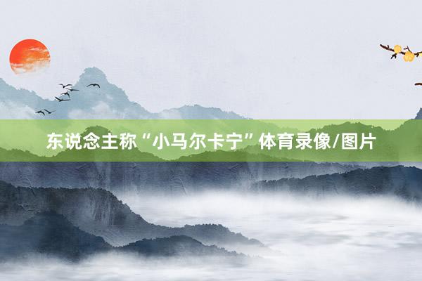 东说念主称“小马尔卡宁”体育录像/图片