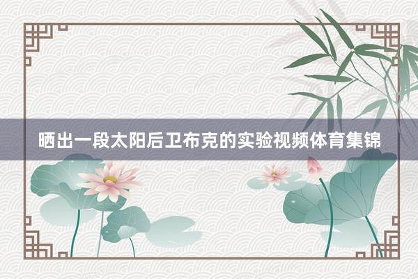 晒出一段太阳后卫布克的实验视频体育集锦