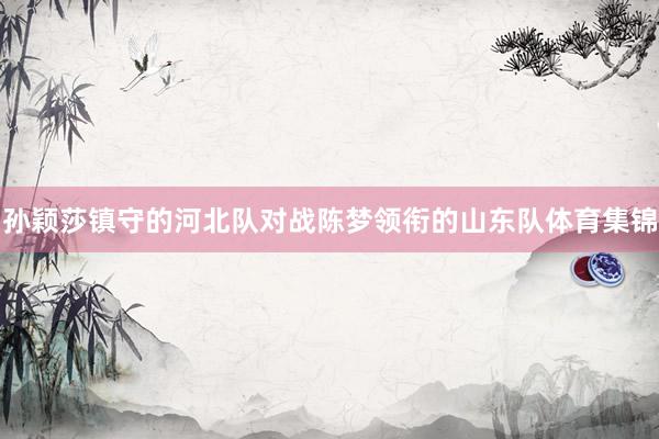 孙颖莎镇守的河北队对战陈梦领衔的山东队体育集锦