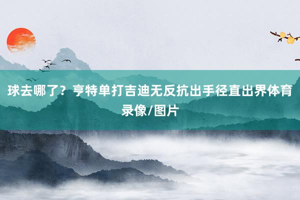 球去哪了？亨特单打吉迪无反抗出手径直出界体育录像/图片