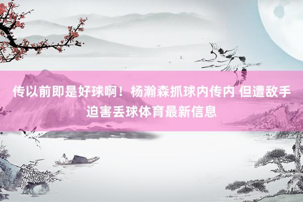 传以前即是好球啊！杨瀚森抓球内传内 但遭敌手迫害丢球体育最新信息