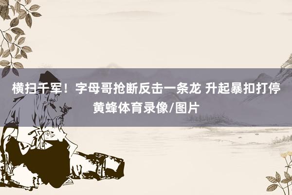 横扫千军！字母哥抢断反击一条龙 升起暴扣打停黄蜂体育录像/图片