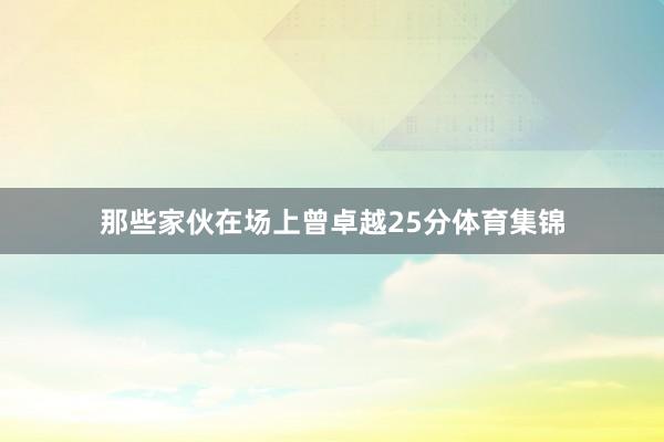 那些家伙在场上曾卓越25分体育集锦