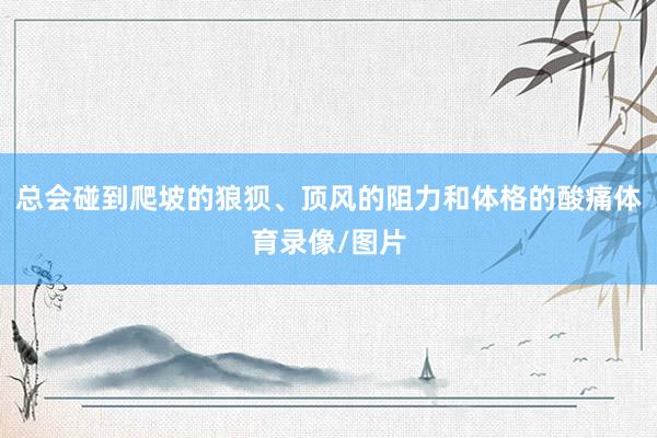 总会碰到爬坡的狼狈、顶风的阻力和体格的酸痛体育录像/图片