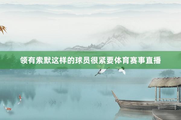领有索默这样的球员很紧要体育赛事直播