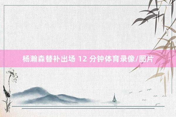杨瀚森替补出场 12 分钟体育录像/图片