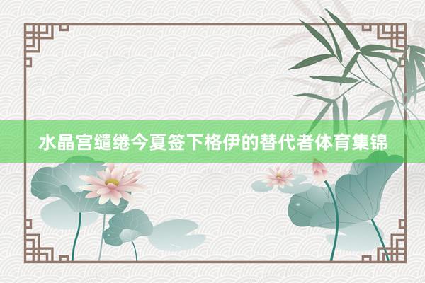 水晶宫缱绻今夏签下格伊的替代者体育集锦