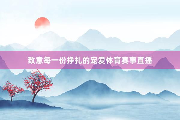 致意每一份挣扎的宠爱体育赛事直播