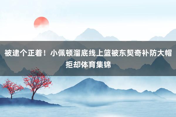 被逮个正着！小佩顿溜底线上篮被东契奇补防大帽拒却体育集锦