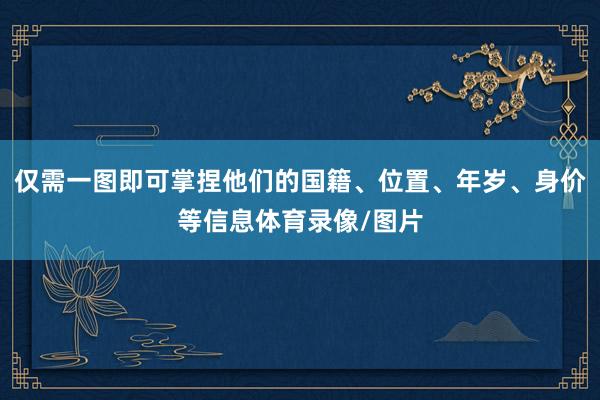 仅需一图即可掌捏他们的国籍、位置、年岁、身价等信息体育录像/图片