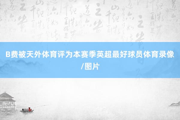 B费被天外体育评为本赛季英超最好球员体育录像/图片