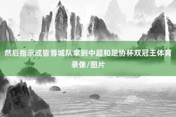 然后指示成皆蓉城队拿到中超和足协杯双冠王体育录像/图片